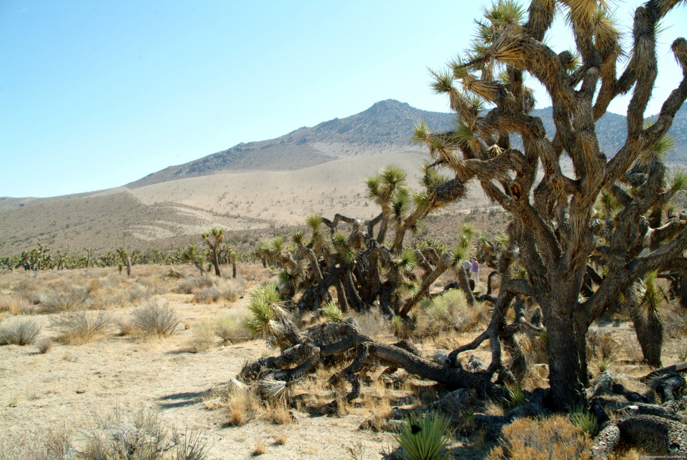 Национальный парк долина смерти: описание, фото