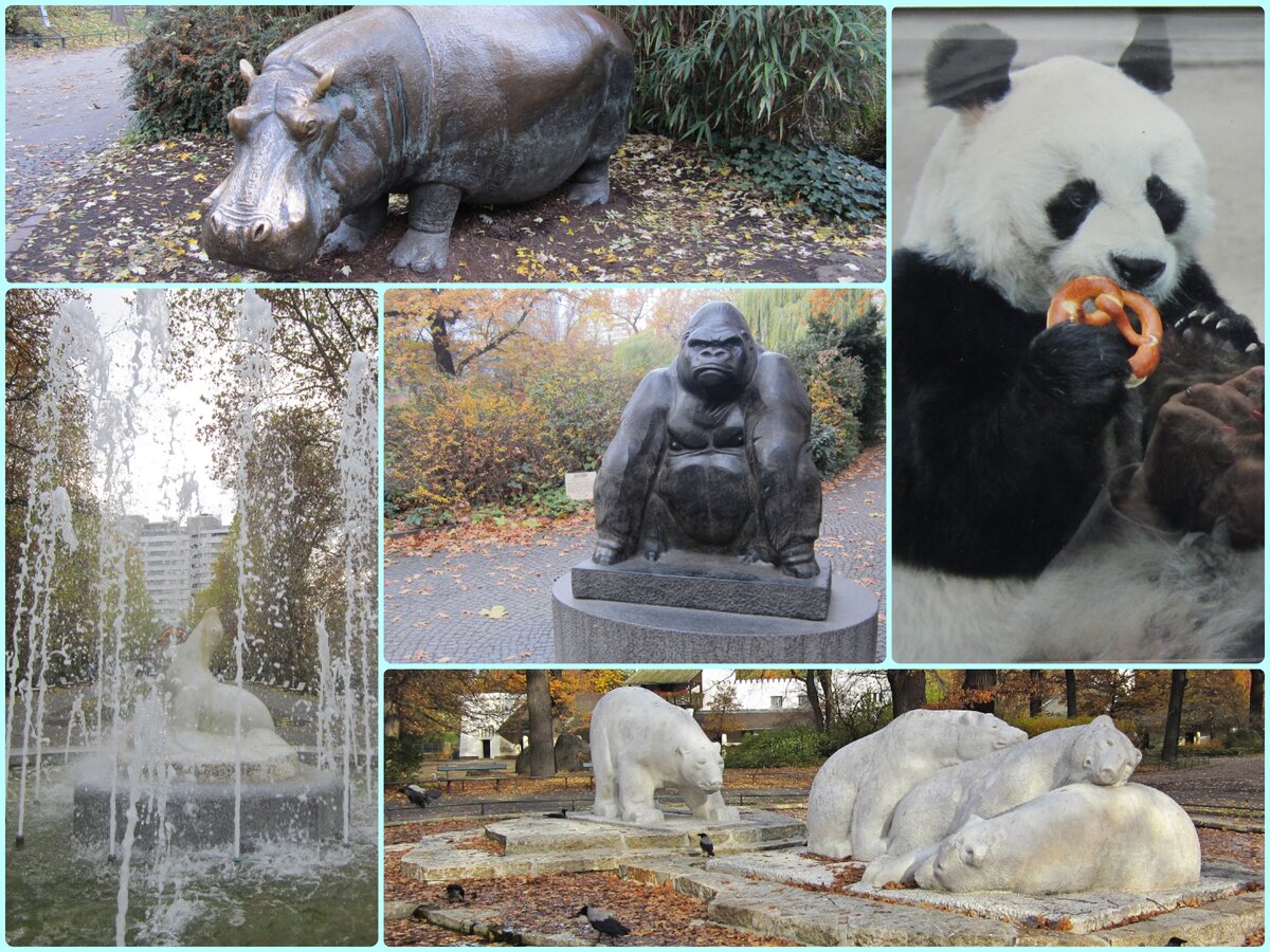 Берлинский зоопарк - источник счастья для детей и взрослых