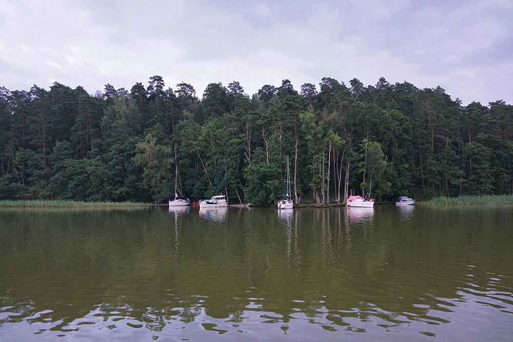 Есть где развернуться. топ-5 озер в алтайском крае, где можно отдохнуть без толп туристов