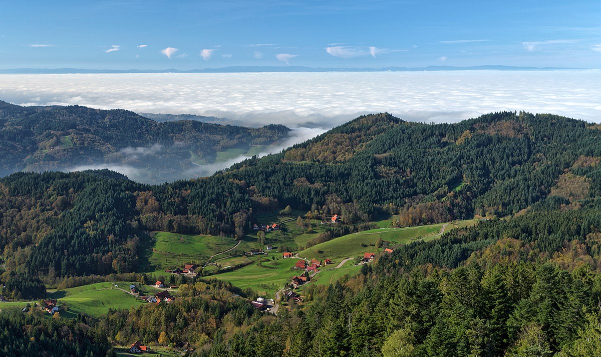 Шварцвальд - черный лес в германии - как добраться из фрайбурга - униан