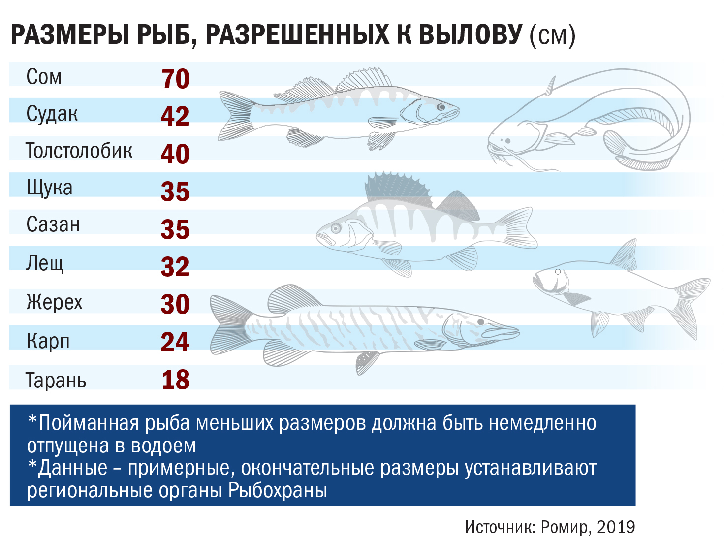Закон о рыбалке и новое в правилах рыболовства в 2021 году