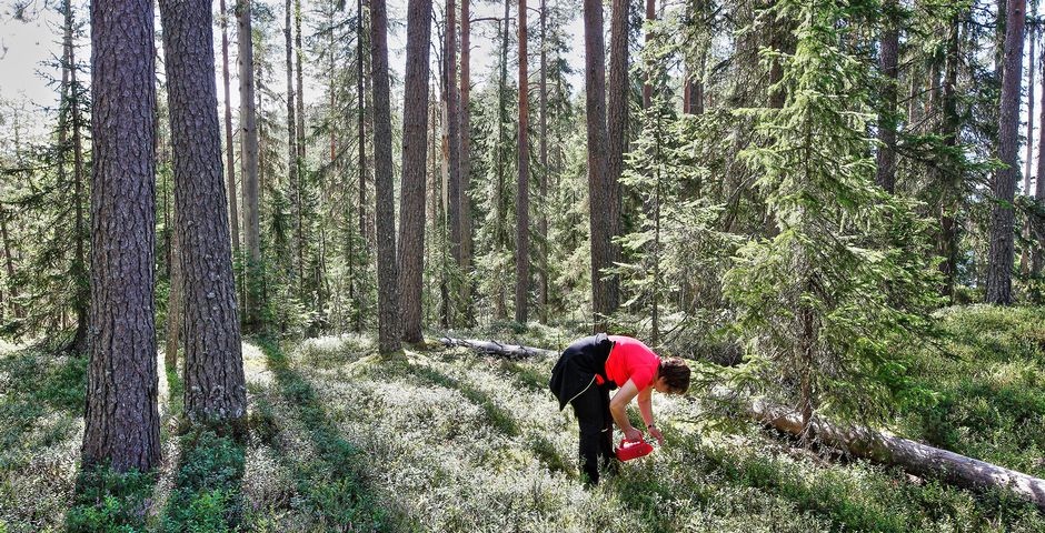 Особенности сезонной работы в финляндии