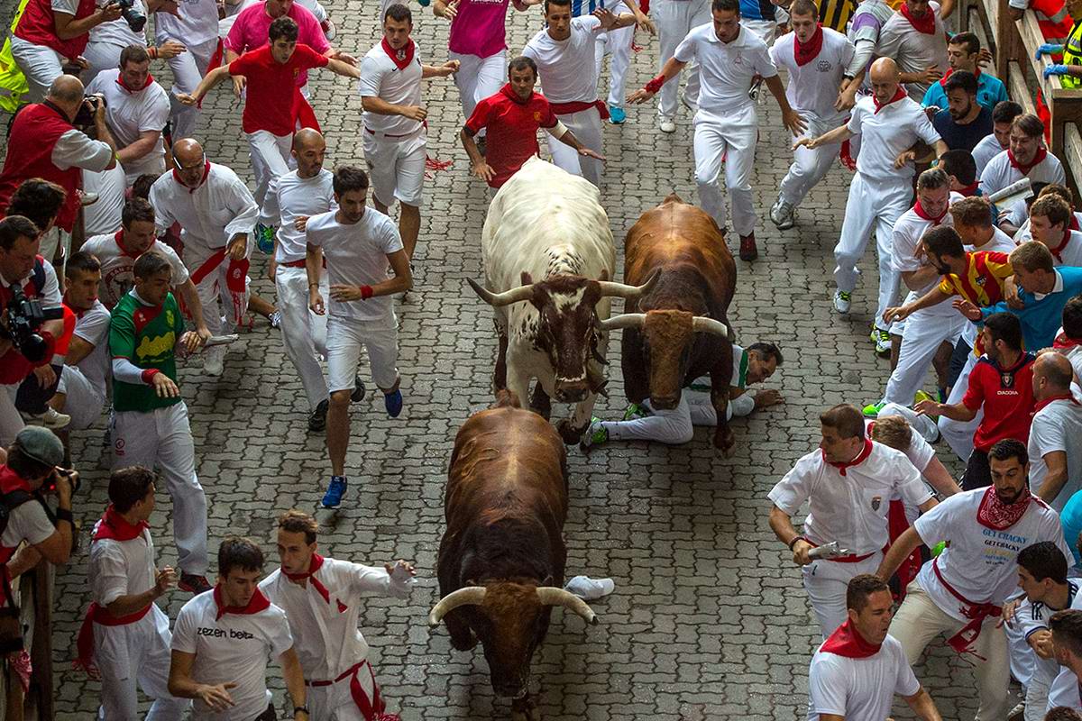 Зачем люди в испании бегают от быков на праздник сан-фермин?