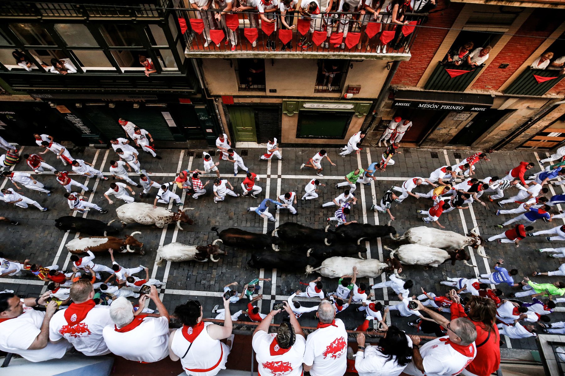 Испанский праздник сан фермин в памплоне и забег быков  - энсьерро