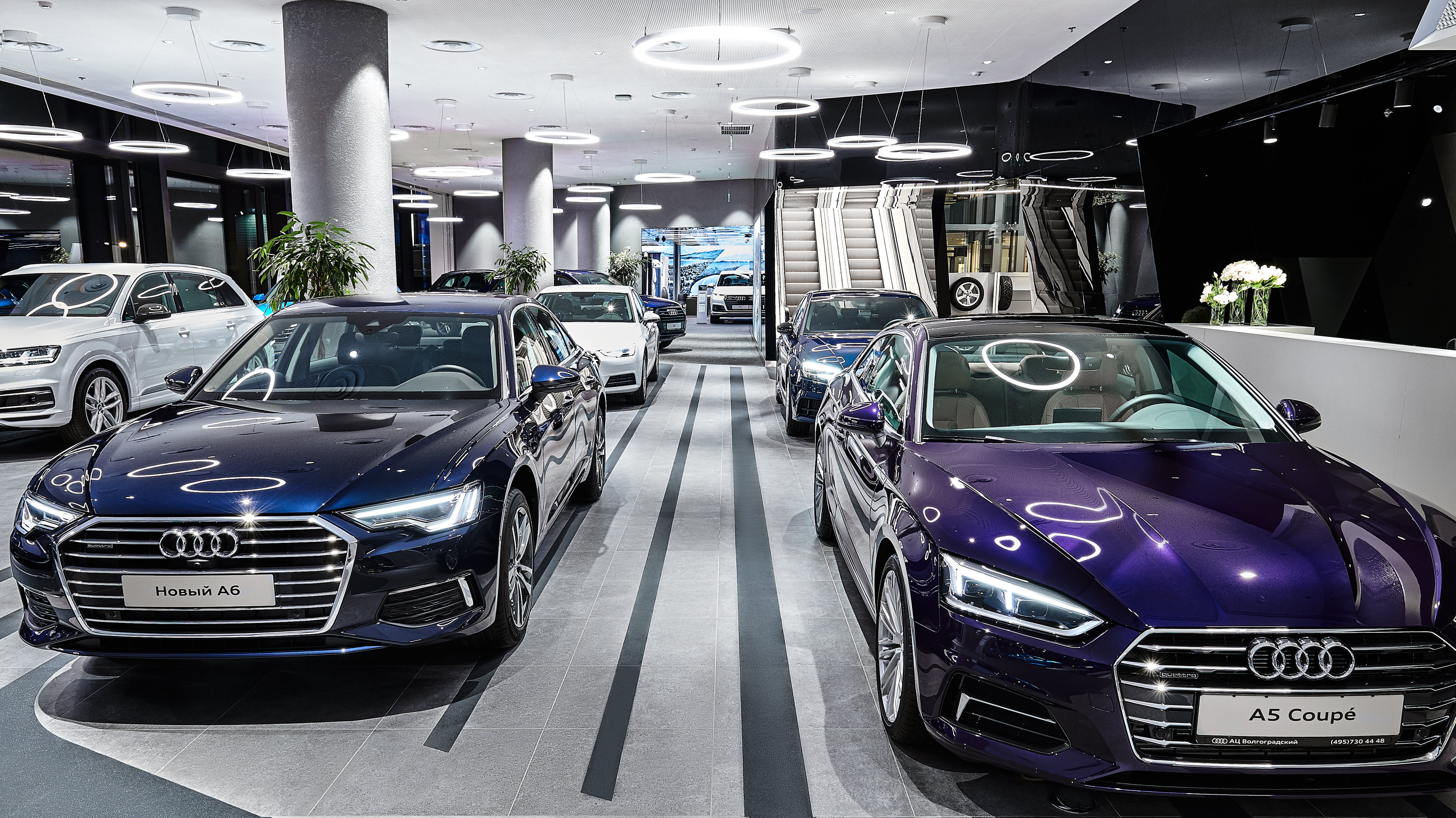 Audi - gebrauchtwagen & neuwagen kaufen & verkaufen | auto.de