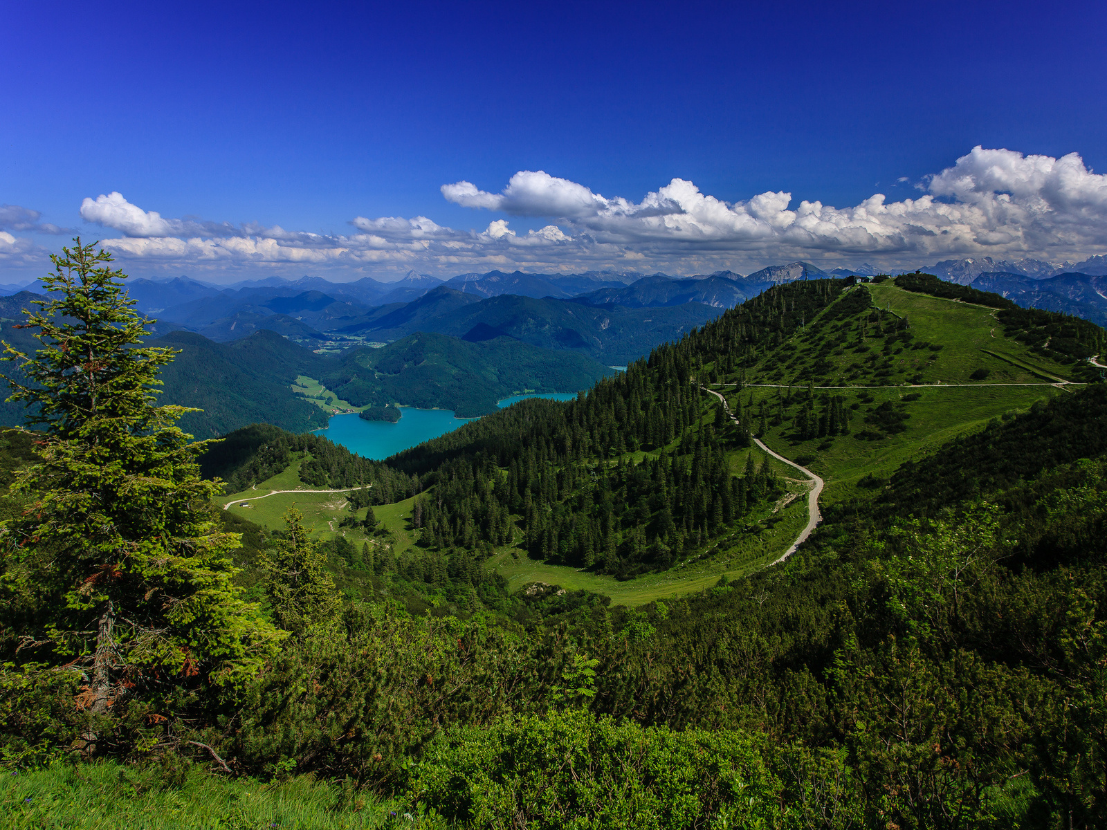 Национальный парк «баварский лес»: в единении с природой