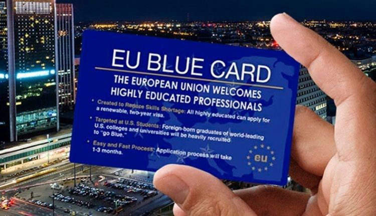 Blue card (голубая карта) в германии в  2021  году: как получить, список профессий