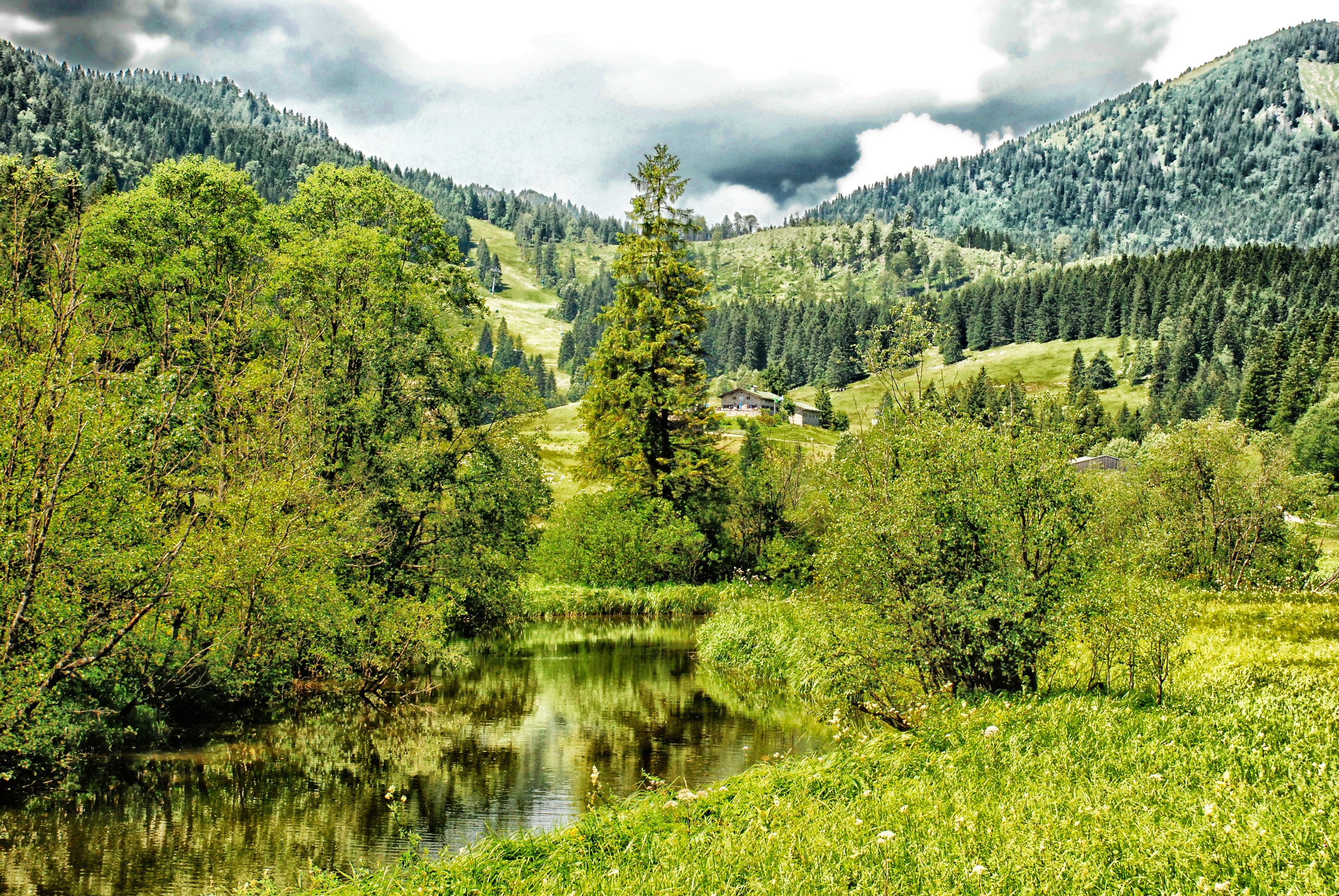 Парк “Баварский лес” – место единения с природой