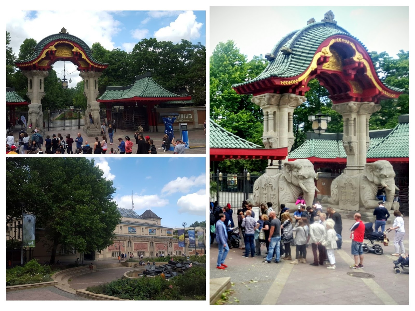 Берлинский зоопарк: описание, адрес, время и режим работы 2021