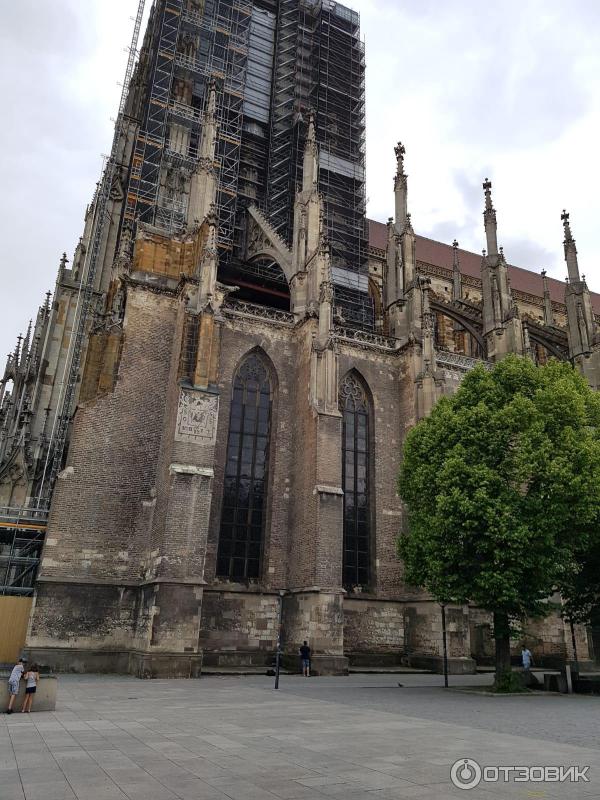 Ульмский собор в германии: как воробей помог построить церковь