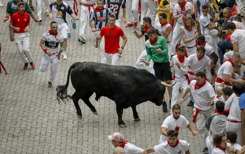 Фестиваль сан-фермин в памплоне: бег с быками