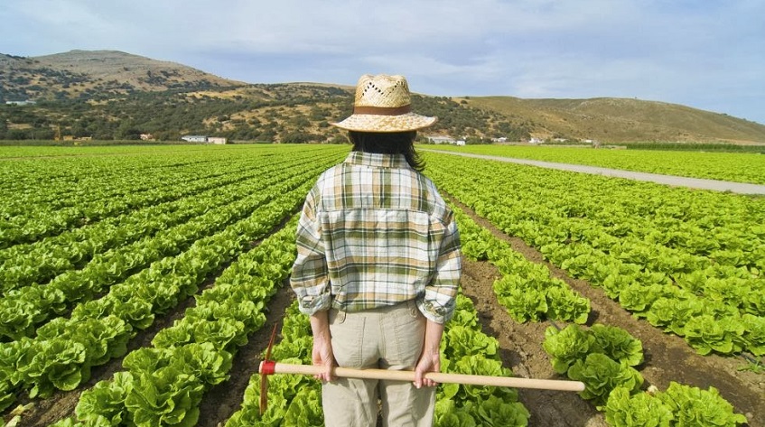 Трудоустройство в сельском хозяйстве Испании