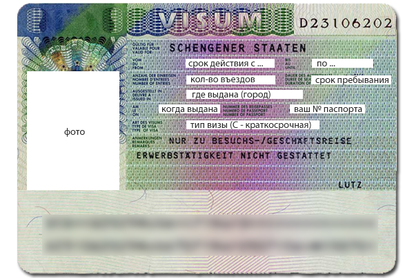 Студенческая виза в германию для россиян — как получить в 2021 году