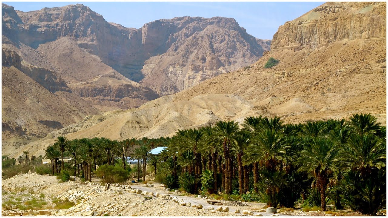 Что поделать в египте - национальные парки, природа и заповедники для активного отдыха