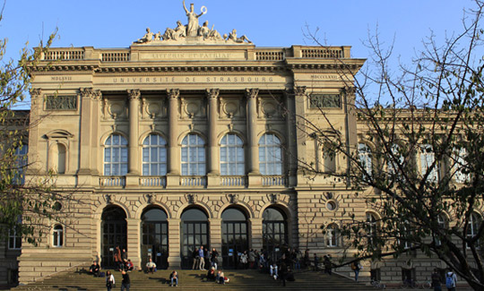 Обучение в австрии в 2020 году: система образования, виды университетов, пакет документов