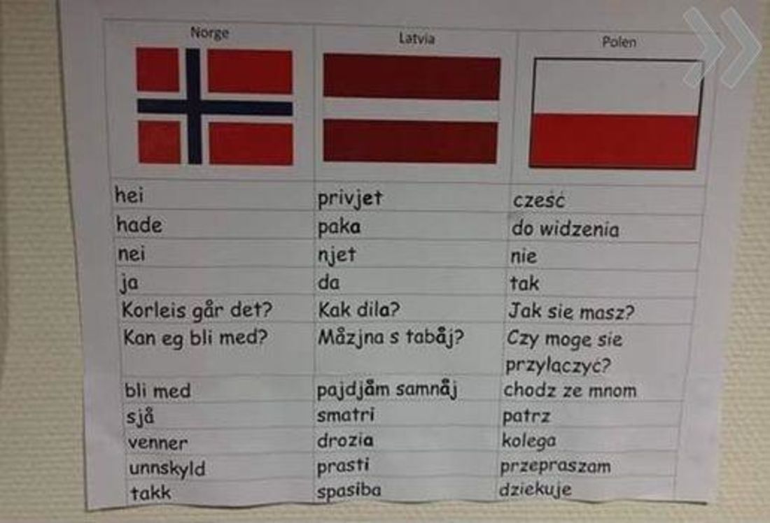 На каких языках говорят жители латвии