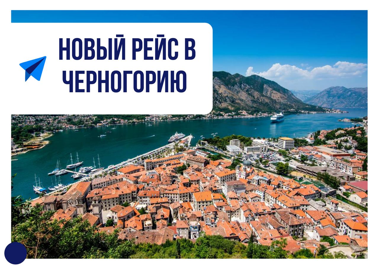 Работа и востребованные вакансии в черногории в 2021 году