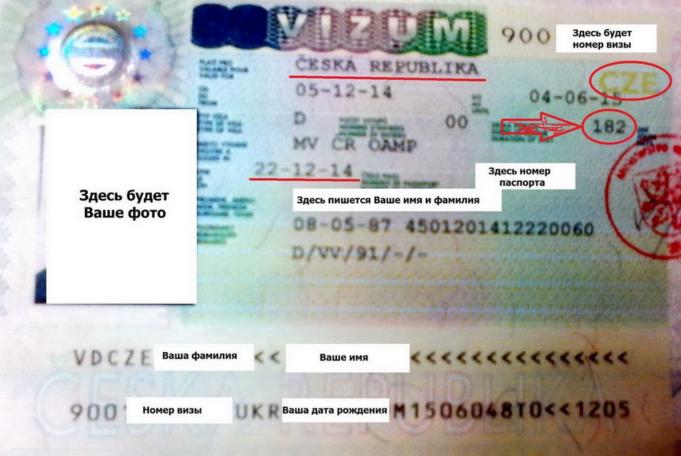 Разновидности виз для въезда в чешскую республику