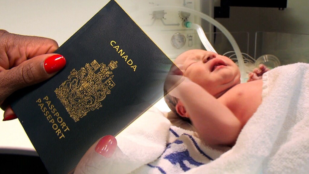Роды в канаде в  2021  году: организация, стоимость, гражданство