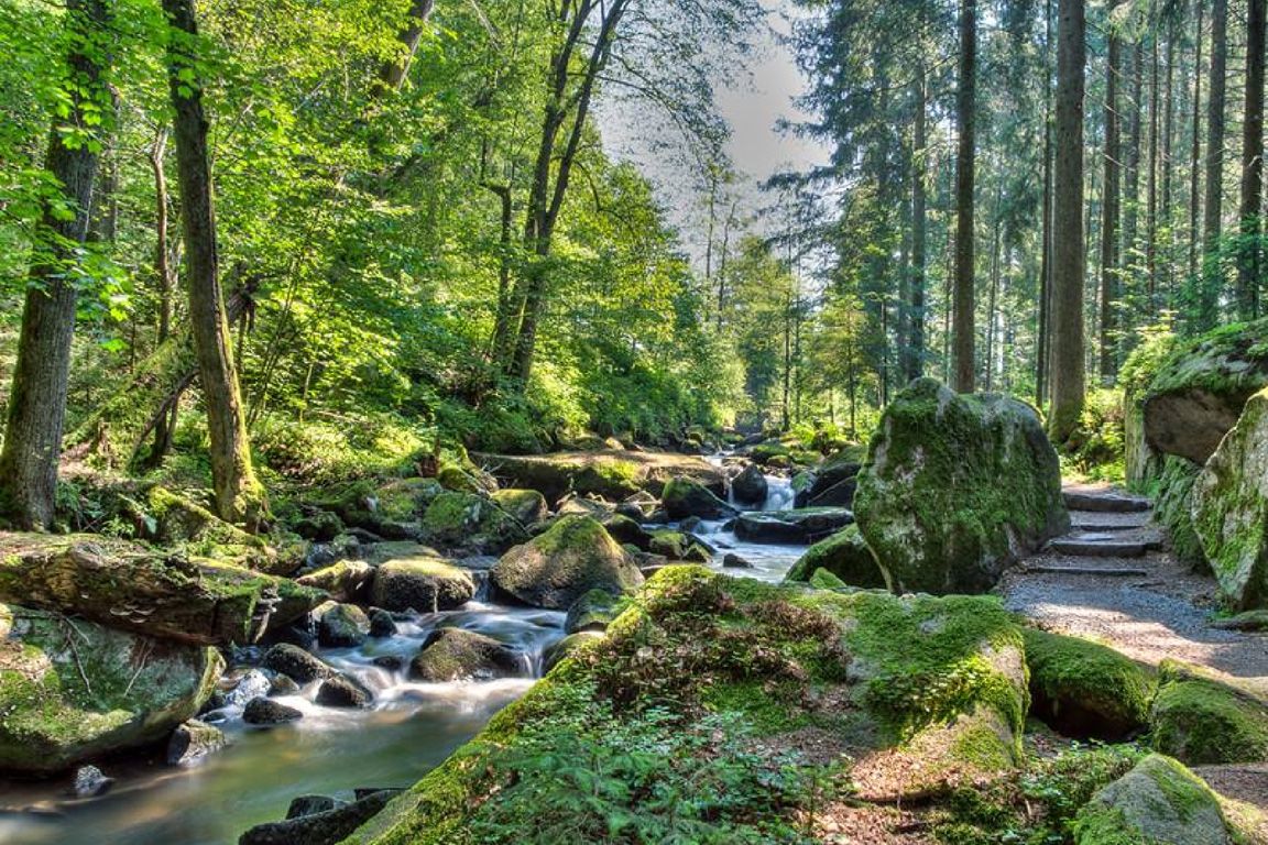 Национальный парк баварский лес