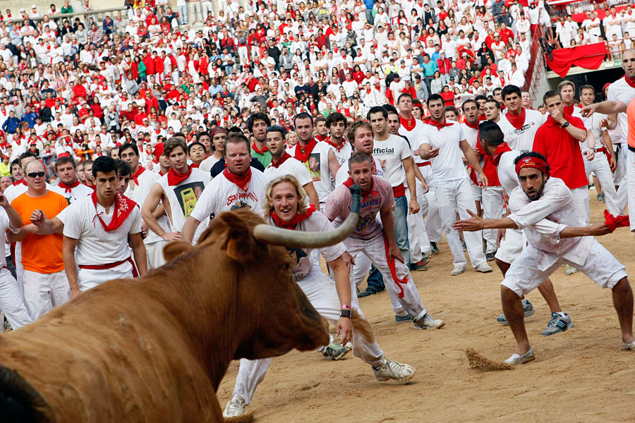 Зачем люди в испании бегают от быков на праздник сан-фермин? - zefirka