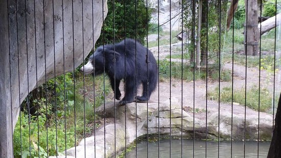 Лейпцигский зоопарк – прекрасный отдых для детей и взрослых
