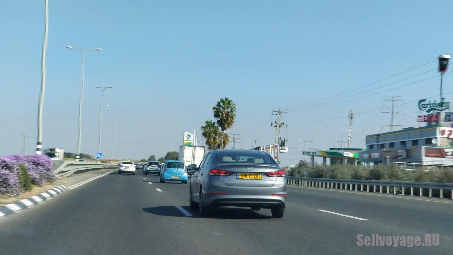 Репатриация и жизнь в израиле: владение машиной в израиле