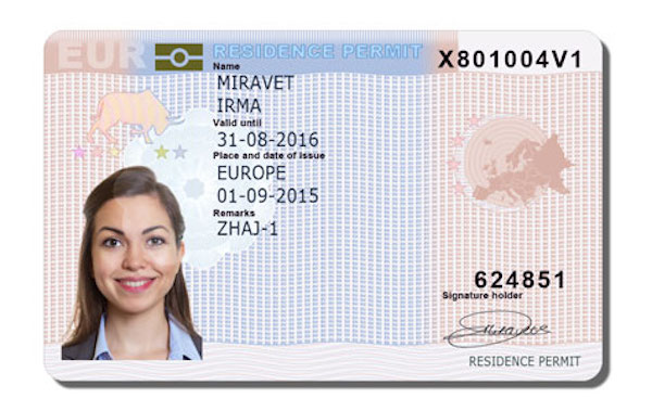 Как получить европейскую blue card