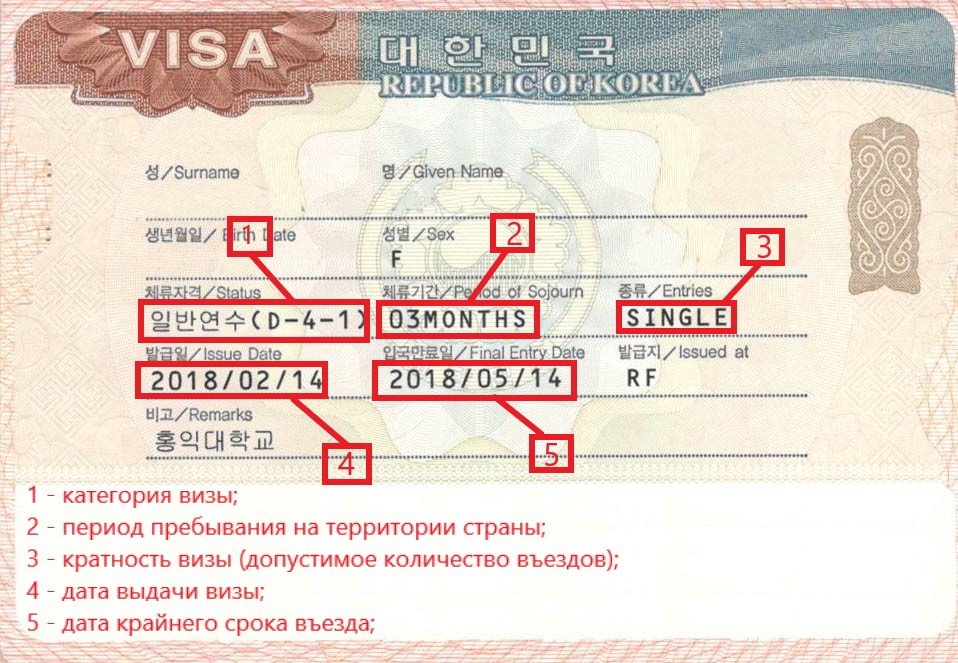 Виза в южную корею для россиян и других граждан: нужна ли и как получить