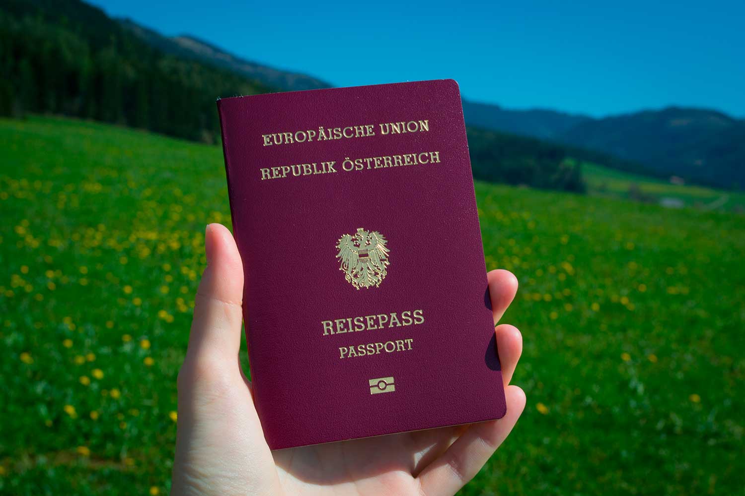 Как получить гражданство австрии гражданину россии в 2021 году