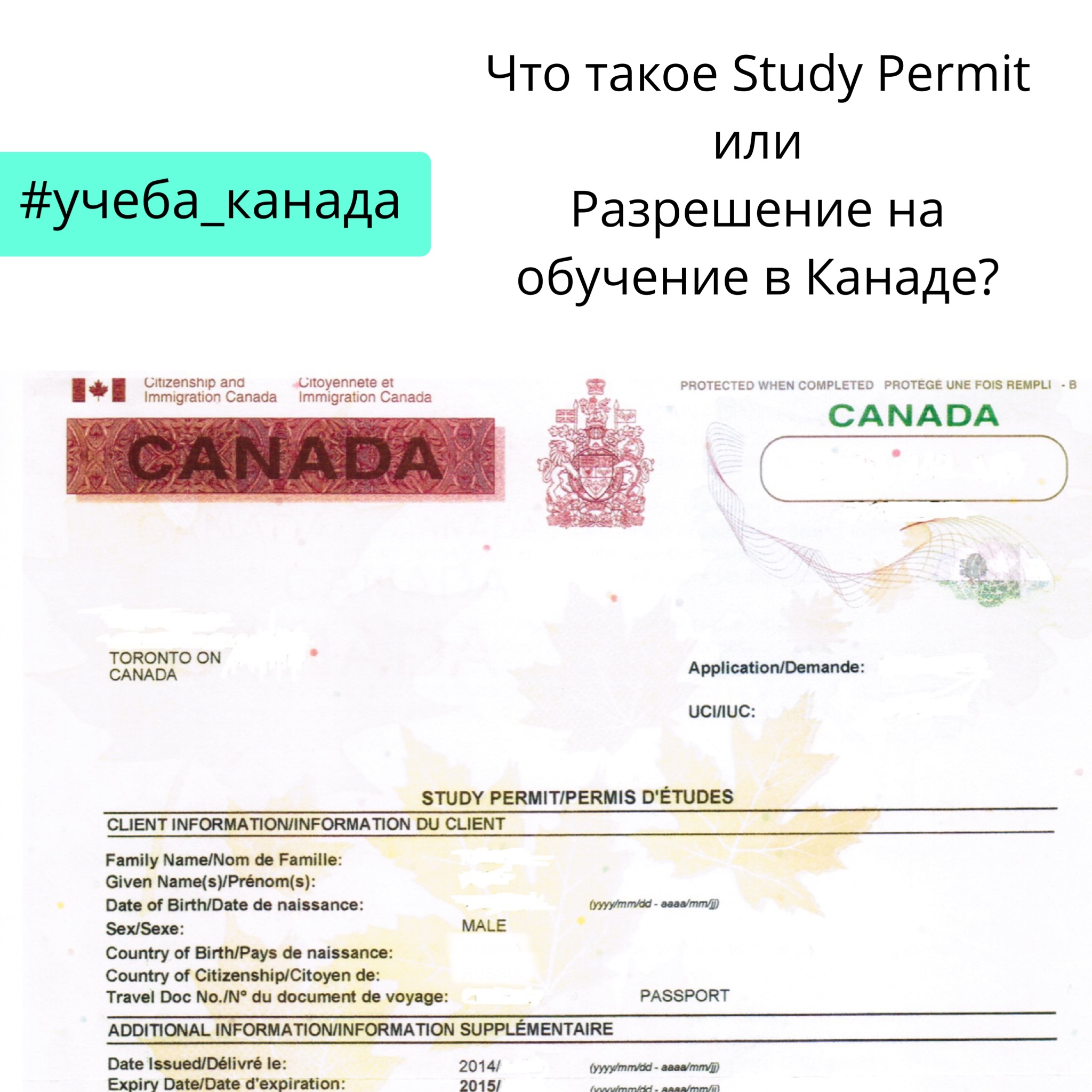 Учебная виза в канаду