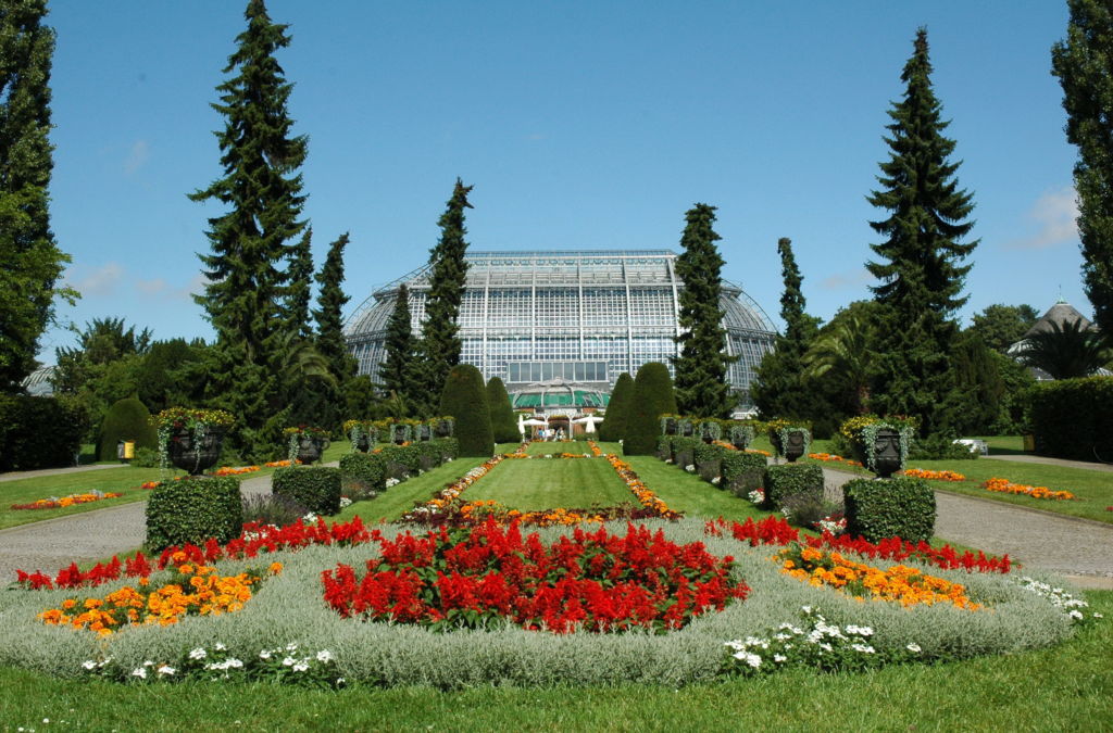 Берлинский ботанический сад и ботанический музей содержание а также история [ править ]