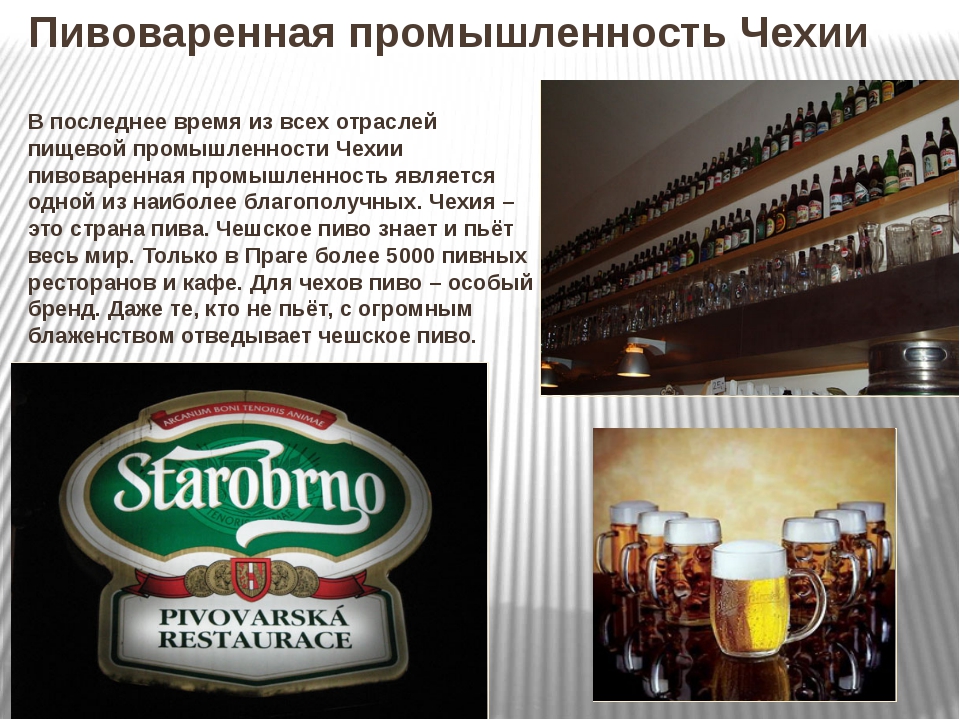 Девять фактов о том, как нежно любят пиво в чехии