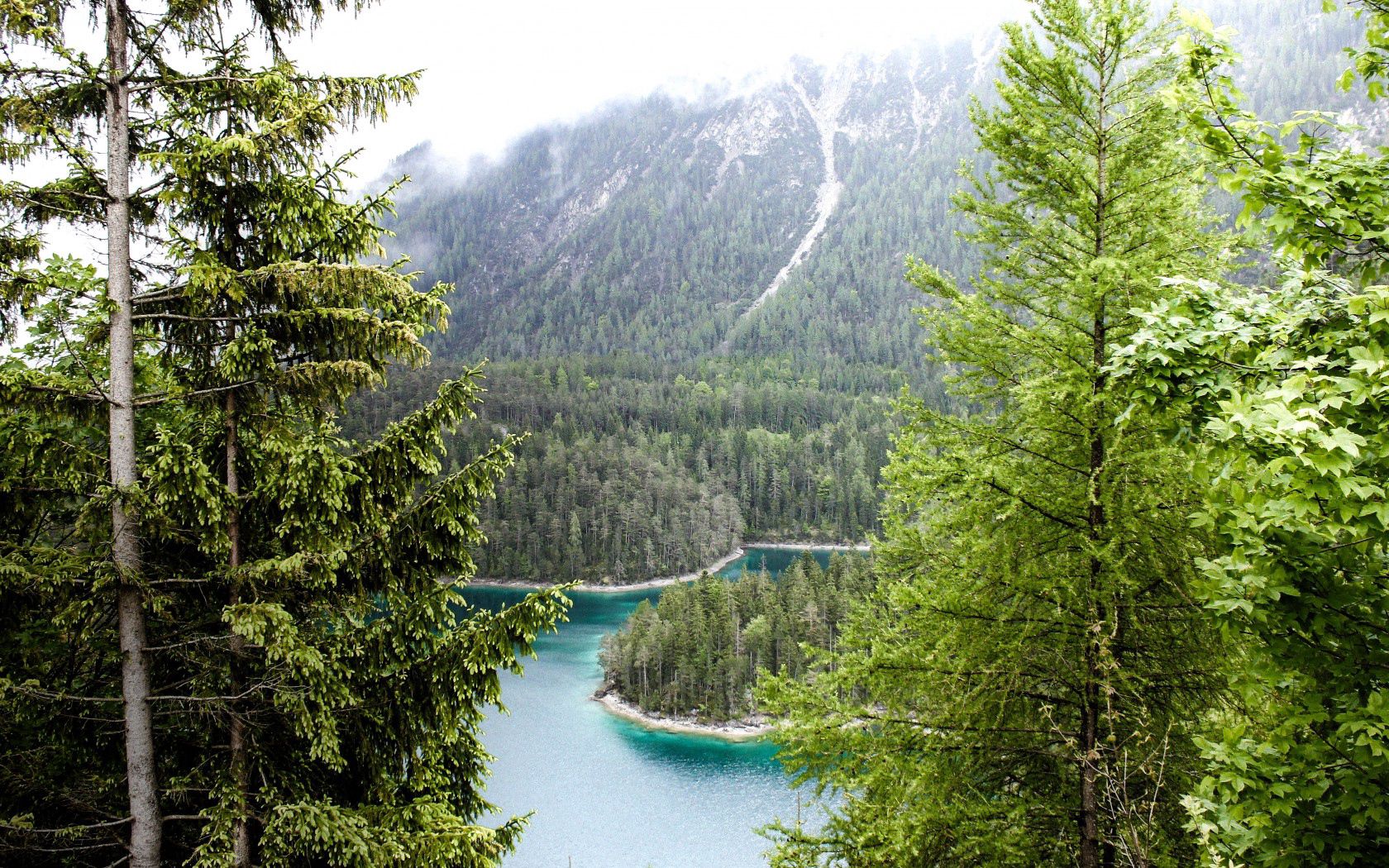 Природный парк верхний баварский лес - википедия