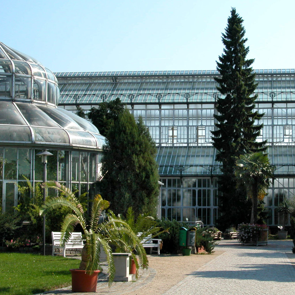 Прекрасный ботанический сад берлина: какие особенности