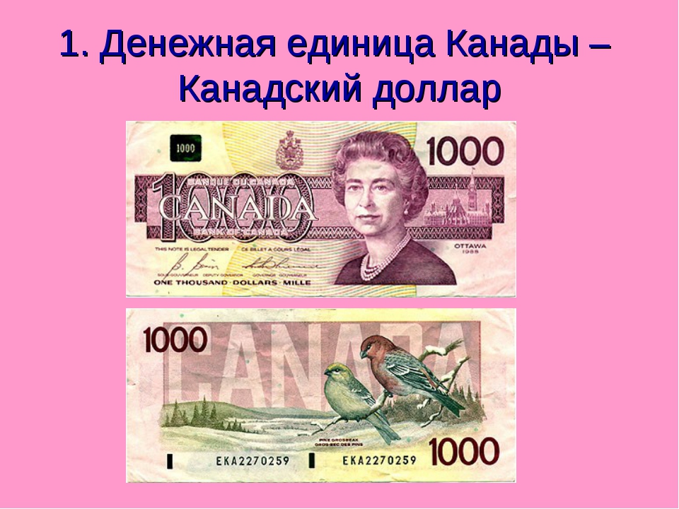 Валюта аргентины: номиналы и описание. курс песо к другим денежным единицам. :: businessman.ru