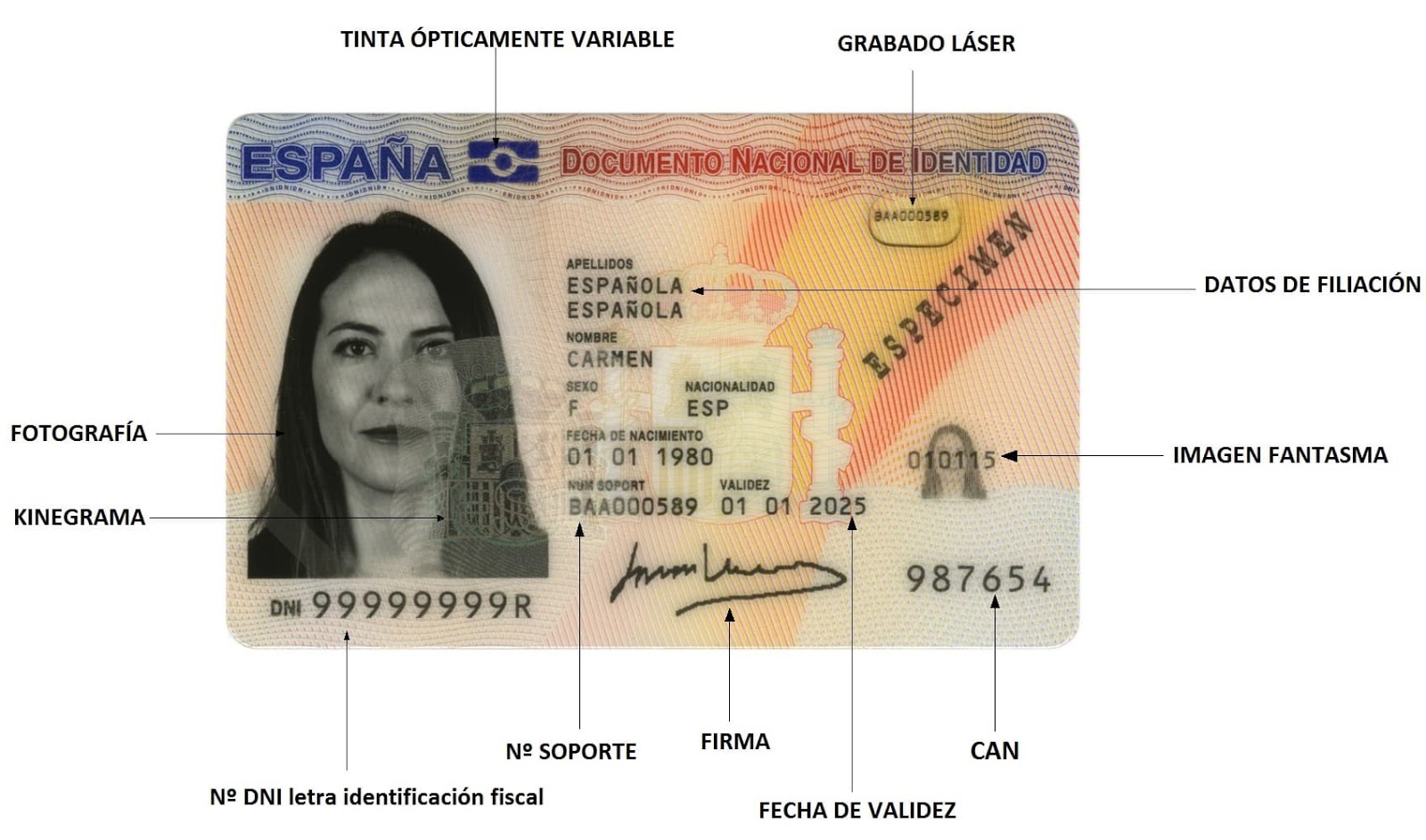 NIE (Numero de Identificacion de Extranjero) - это идентификационный номер ...