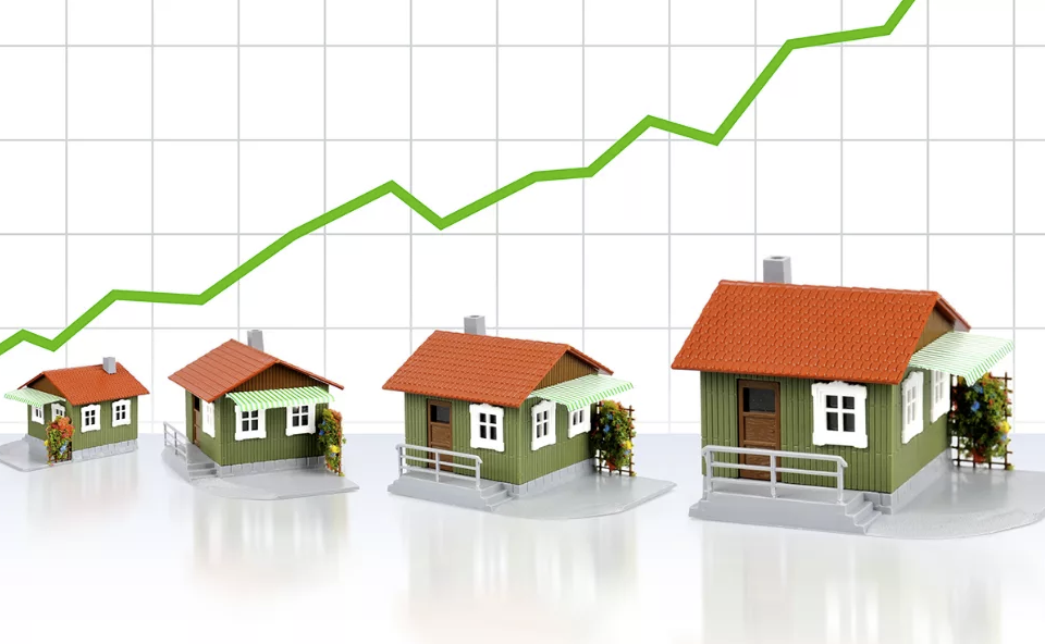 Недвижимость в йене: аренда, покупка, рынок и цены