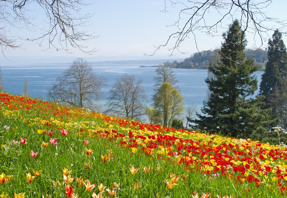 Остров цветов - майнау. пешеходная экскурсия в майнау. швейцария
