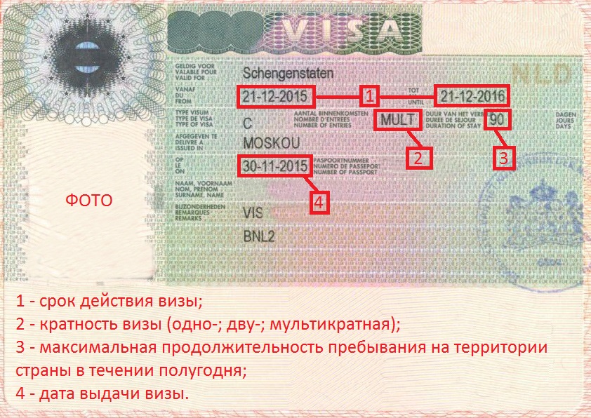 Шенгенская виза в чехию: сколько стоит и как самостоятельно оформить