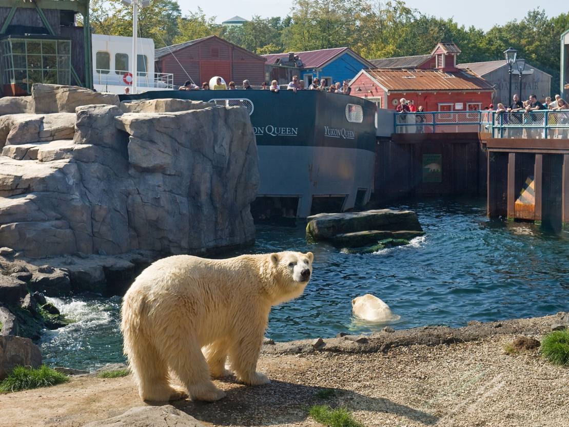 Берлинский зоопарк и аквариум – большая семья для тысяч животных и обитателей водного мира