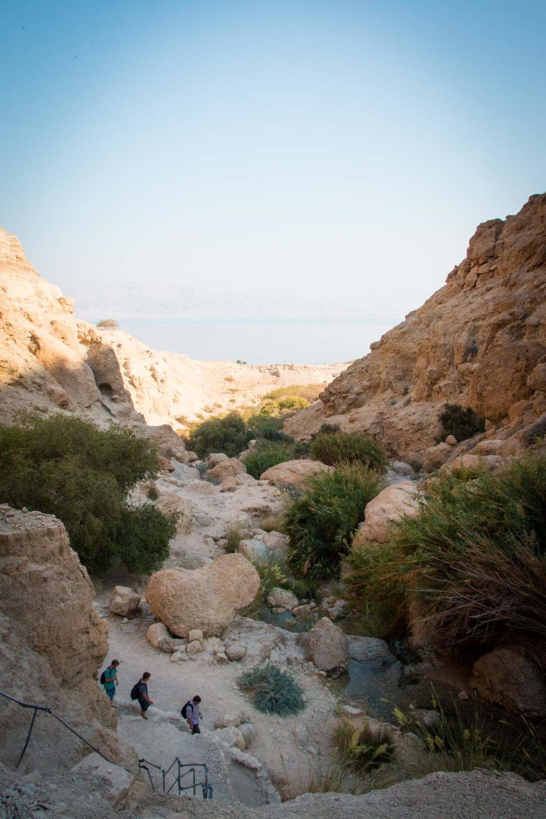 Национальные парки и заповедники израиля - лучшие, карта, матмон