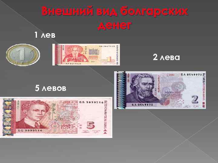 Львиная доля болгарской валюты