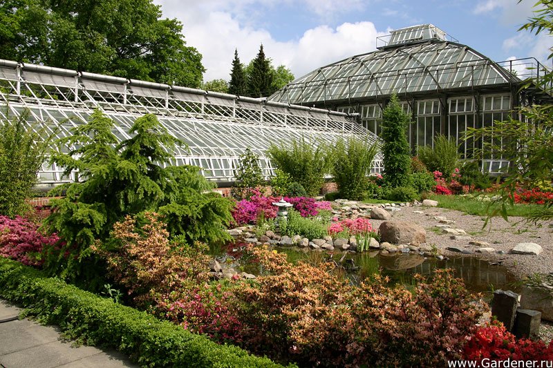Берлинский ботанический сад – один из самых старых и больших в европе