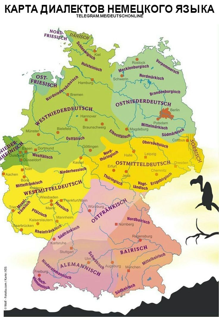Австрийский немецкий язык: диалекты, отличия и особенности