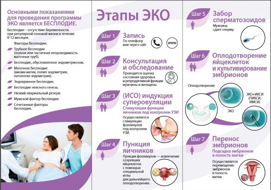 Эко с донорской спермой: цена, результативность, отзывы в клинике «линия жизни», москва