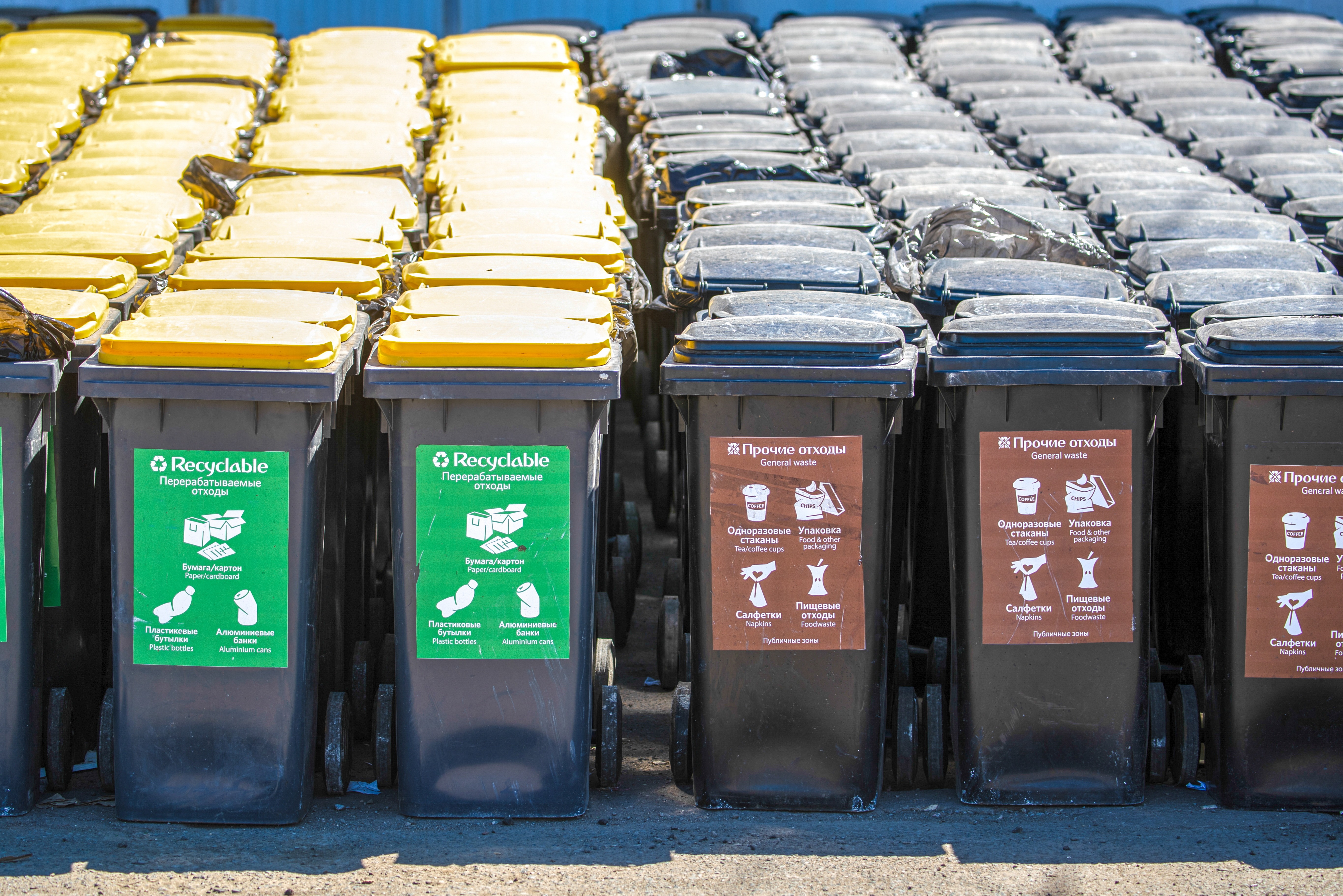 Сортировка мусора в германии в 2021 году: раздельный сбор, переработка
