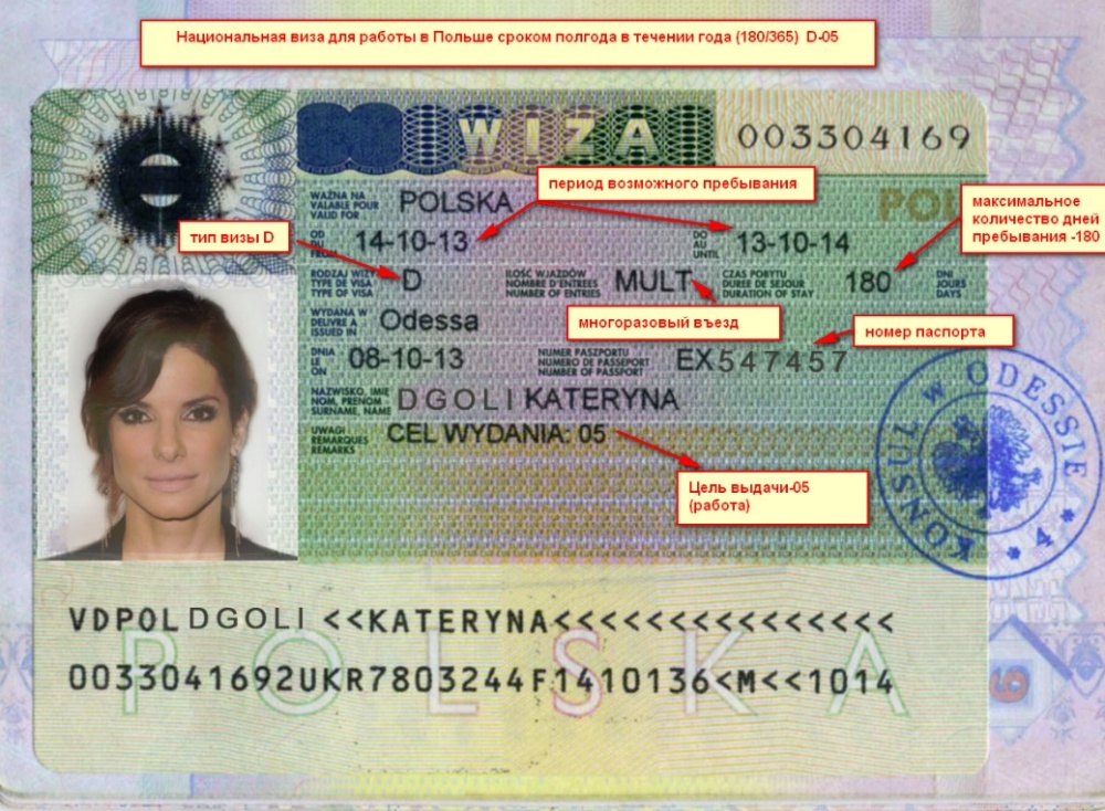 Оформление национальной визы D в Польшу: документы, процедура, сроки
