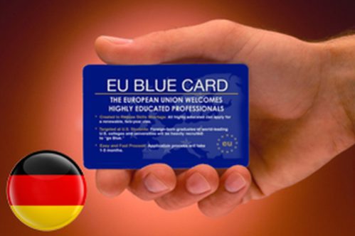 Голубая карта ес - как получить blue card в нидерландах