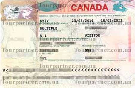 Рабочая виза в канаду 2021: как получить, цена, виды, сроки - wise, ранее transferwise